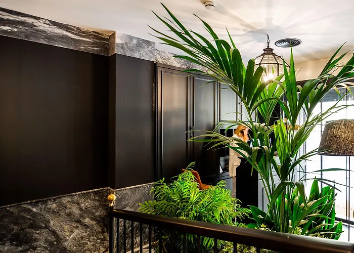 Boutique Casa Canovas 4* Cadix